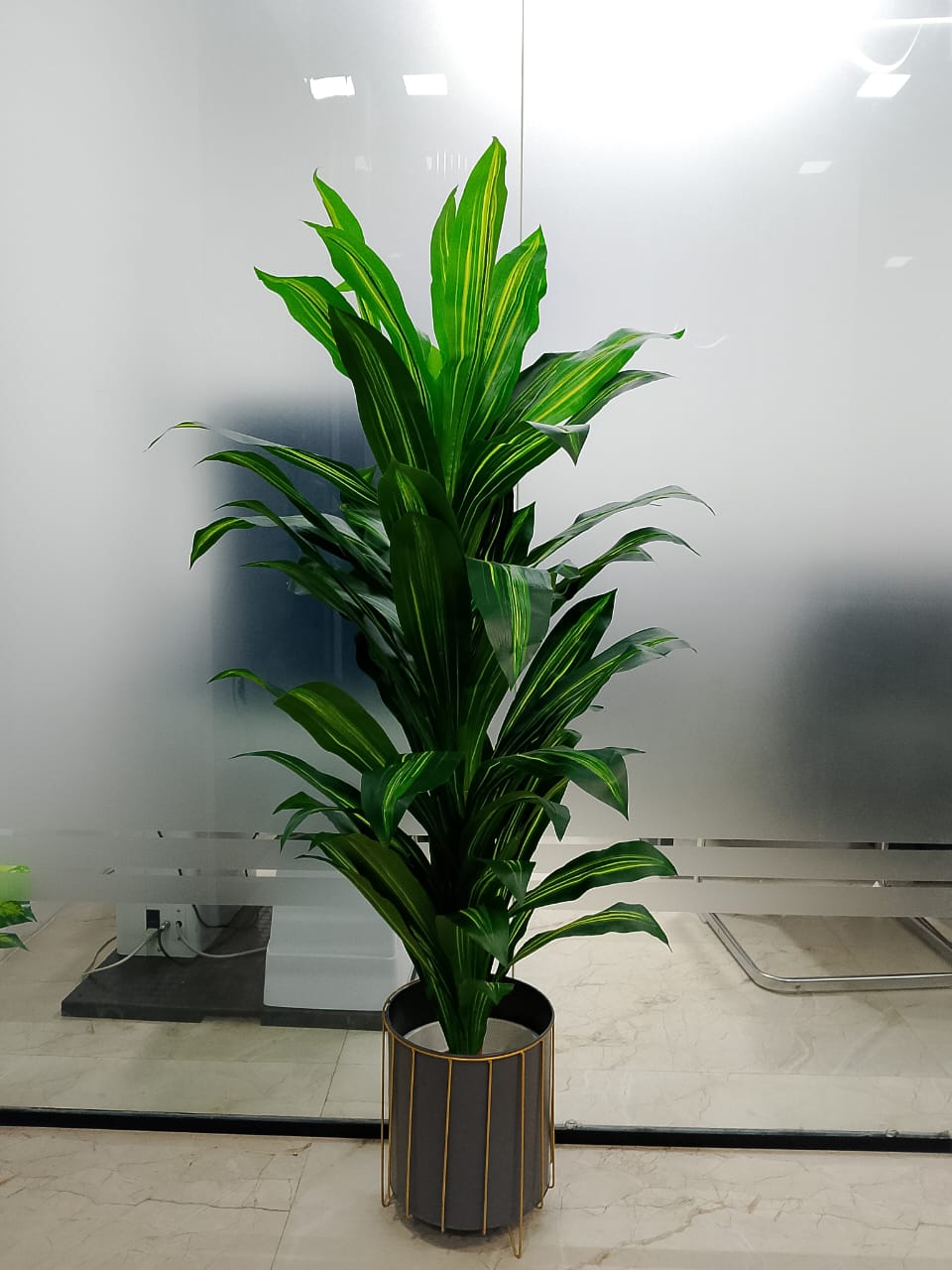 Skanda Eye Clinic - Gallery Image 3